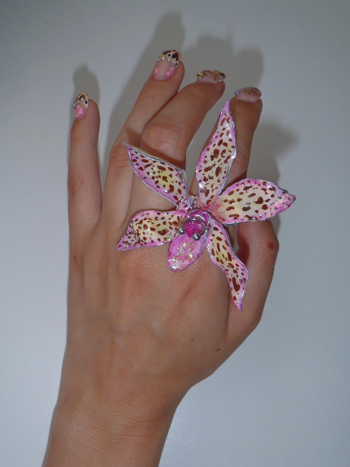 Tiger Orchid in pink ring