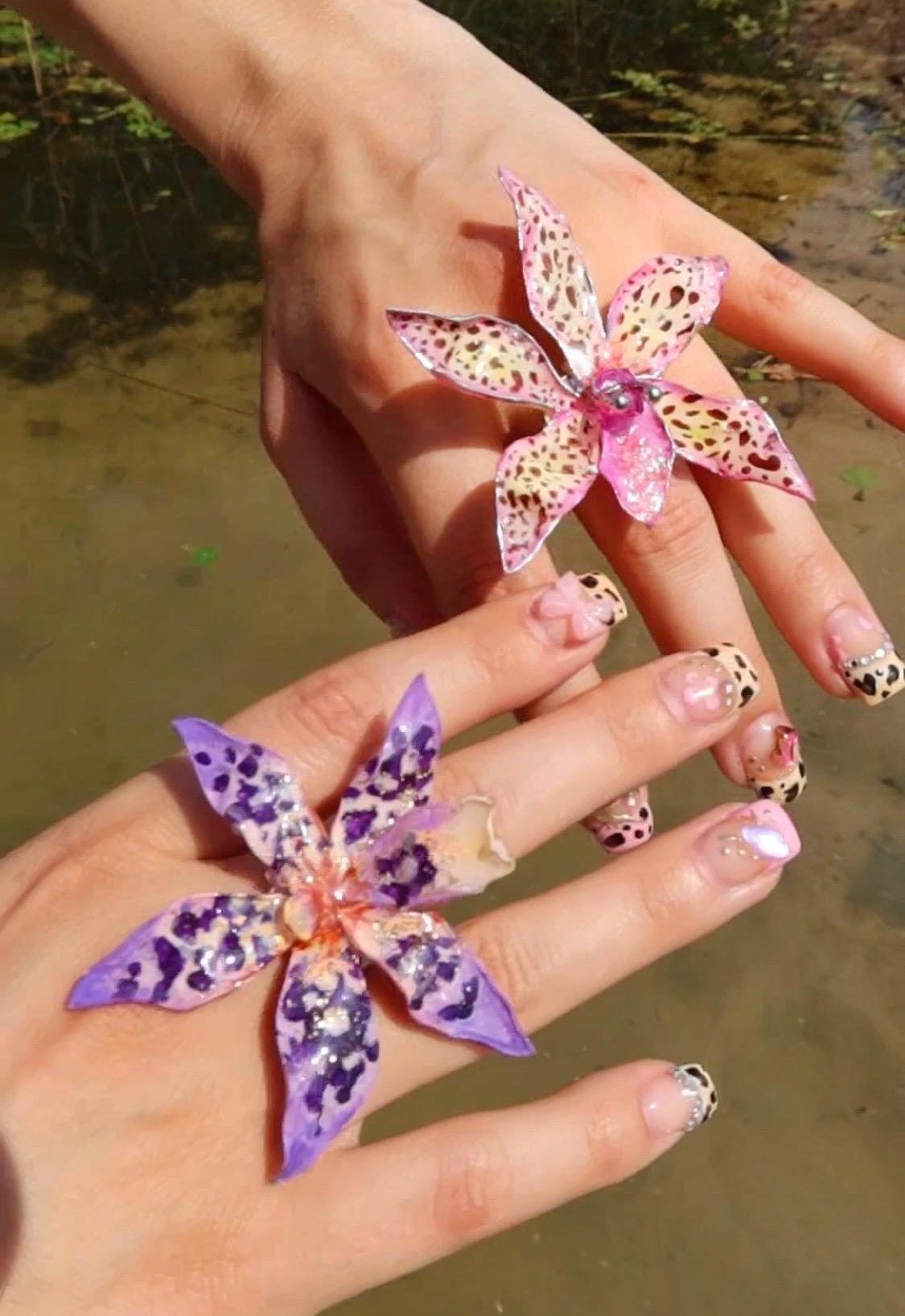 Tiger Orchid in pink ring