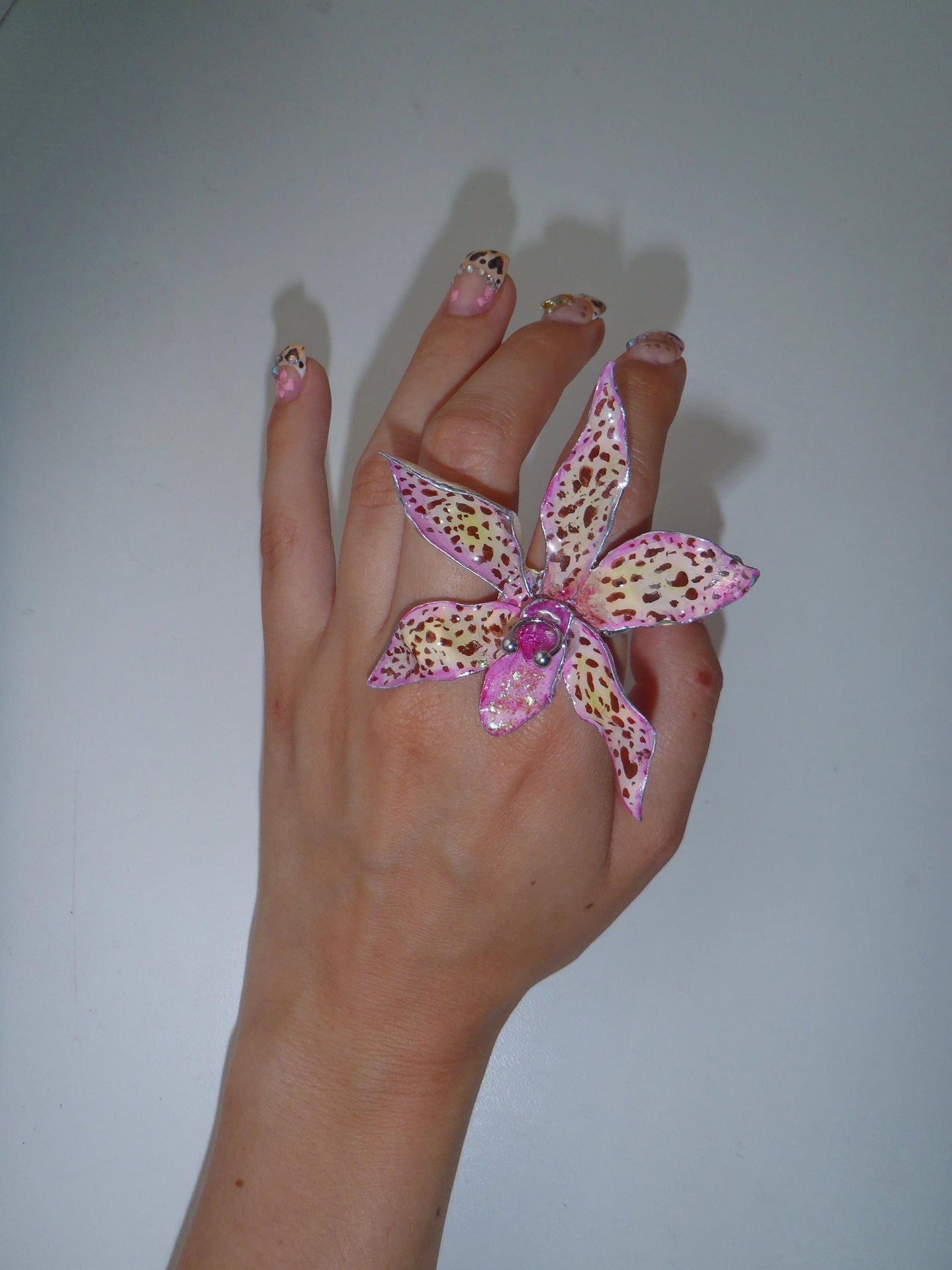 Tiger Orchid in pink ring