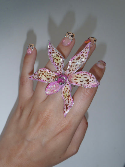 Tiger Orchid in pink ring