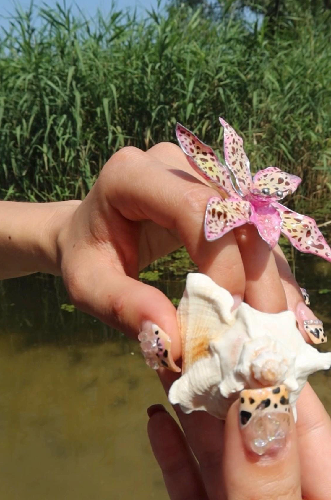 Tiger Orchid in pink ring