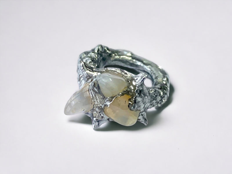 Fake tooth ring