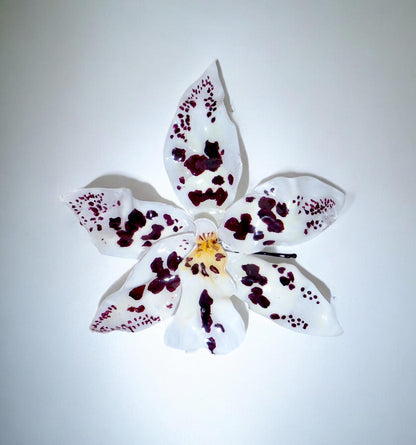 Шпилька Tiger Orchid