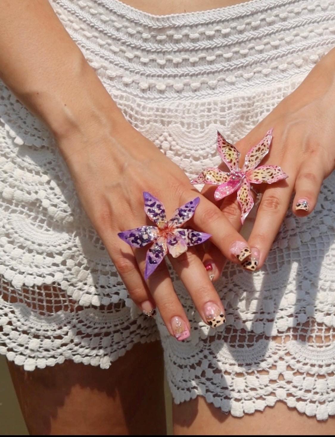 Tiger Orchid in pink ring