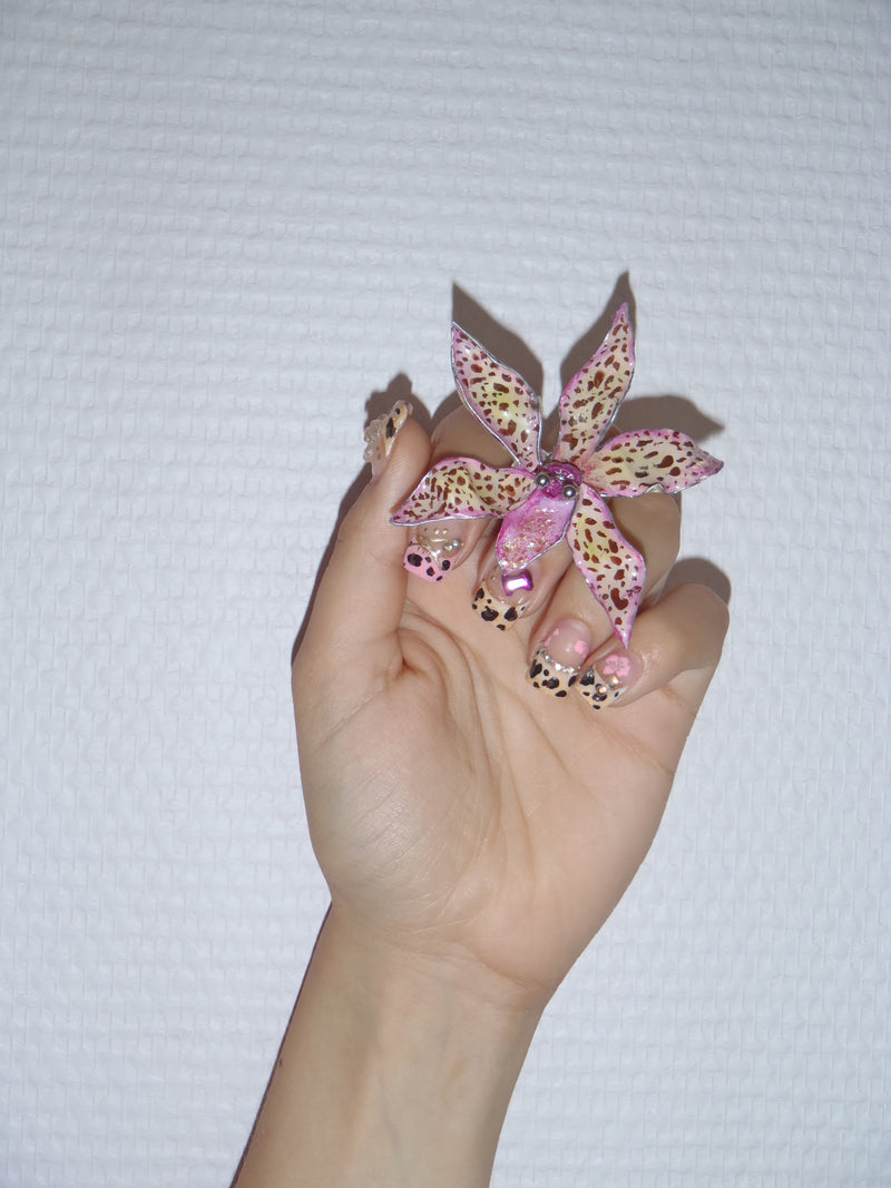Tiger Orchid in pink ring
