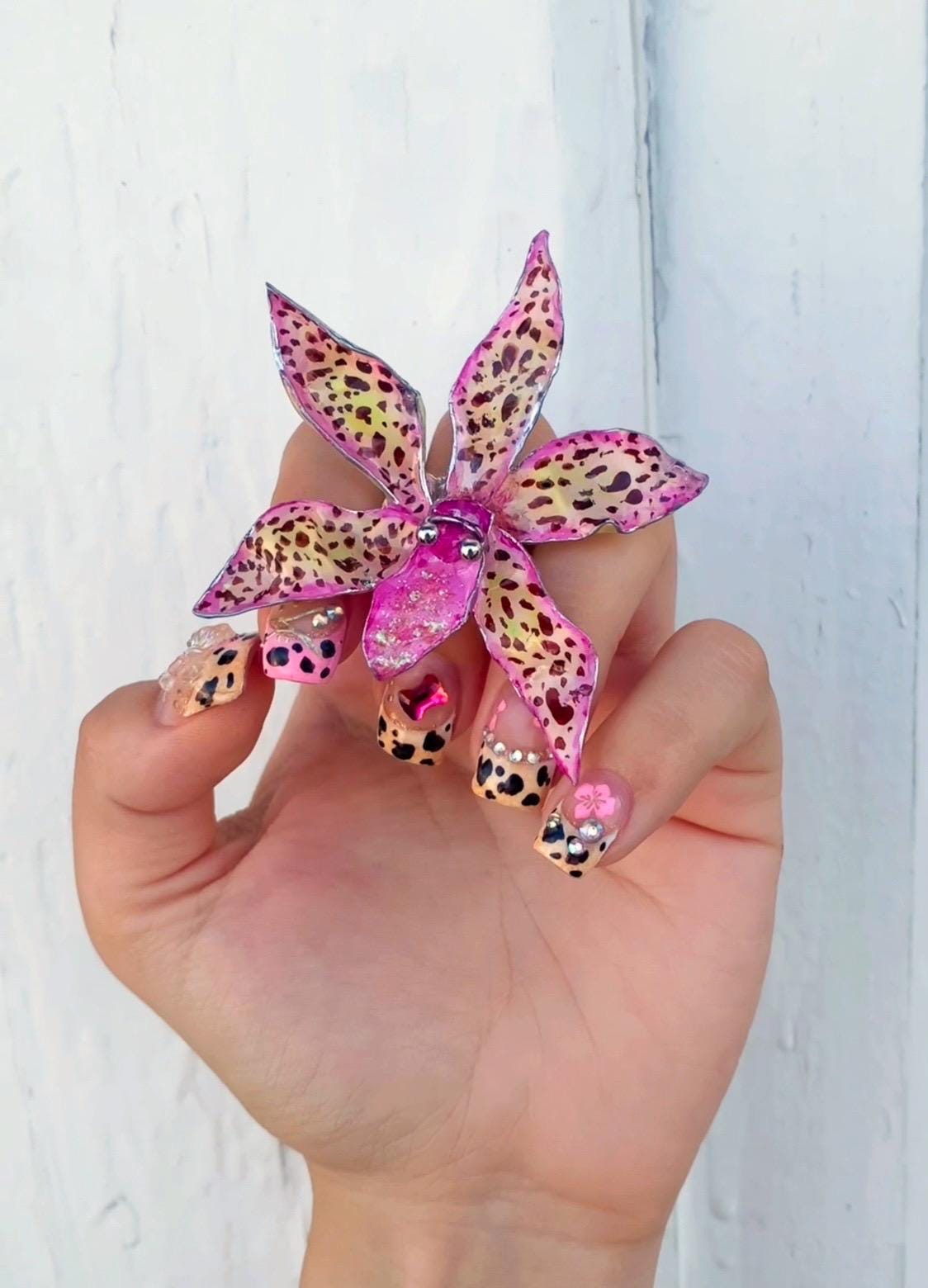 Tiger Orchid in pink ring