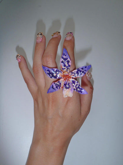 Tiger Orchid in purple ring