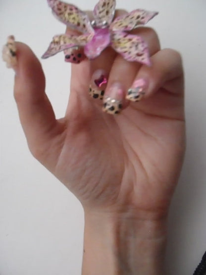 Tiger Orchid in pink ring