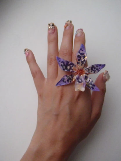 Tiger Orchid in purple ring
