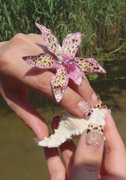 Tiger Orchid in pink ring