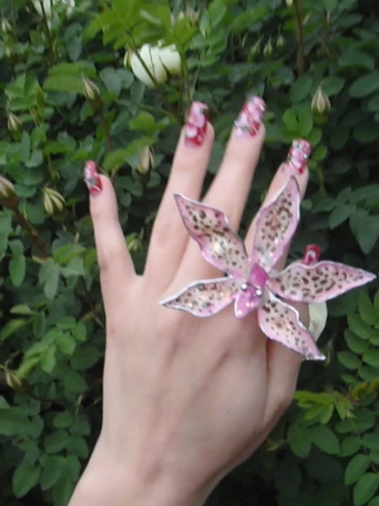 Tiger Orchid in pink ring